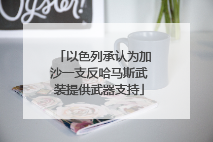 以色列承认为加沙一支反哈马斯武装提供武器支持