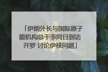 伊朗外长与国际原子能机构总干事同日到访开罗 讨论伊核问题