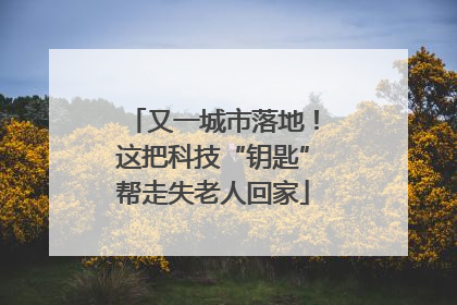 又一城市落地！这把科技“钥匙”帮走失老人回家