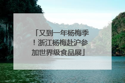 又到一年杨梅季！浙江杨梅赴沪参加世界级食品展