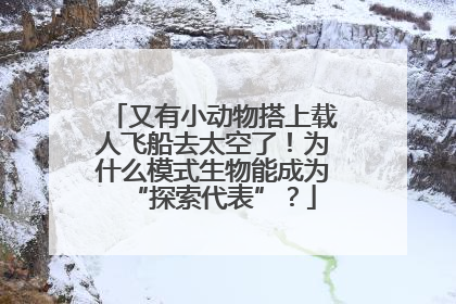 又有小动物搭上载人飞船去太空了！为什么模式生物能成为“探索代表”？
