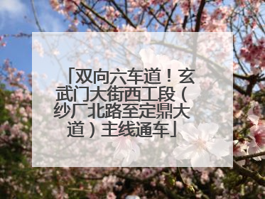 双向六车道！玄武门大街西工段（纱厂北路至定鼎大道）主线通车