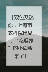 双色又迷你，上海市农科院出品，“吃瓜界”的小清新来了