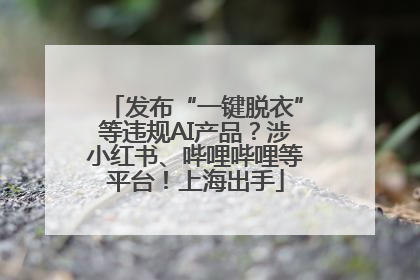 发布“一键脱衣”等违规AI产品？涉小红书、哔哩哔哩等平台！上海出手