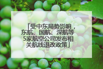 受中东局势影响，东航、国航、深航等5家航空公司发布相关航线退改政策