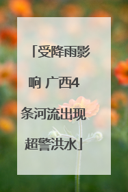 受降雨影响 广西4条河流出现超警洪水