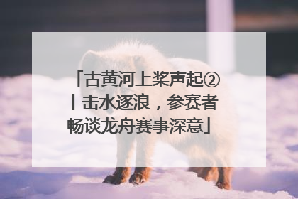 古黄河上桨声起②丨击水逐浪，参赛者畅谈龙舟赛事深意
