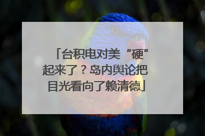 台积电对美“硬”起来了？岛内舆论把目光看向了赖清德