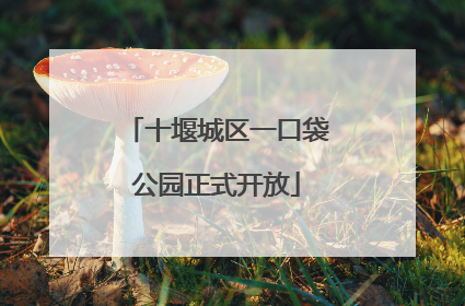 十堰城区一口袋公园正式开放