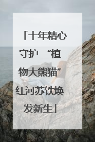 十年精心守护 “植物大熊猫”红河苏铁焕发新生