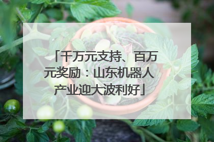 千万元支持、百万元奖励：山东机器人产业迎大波利好