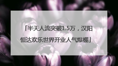 半天人流突破1.5万，汉阳恒达欢乐世界开业人气爆棚