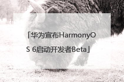 华为宣布HarmonyOS 6启动开发者Beta