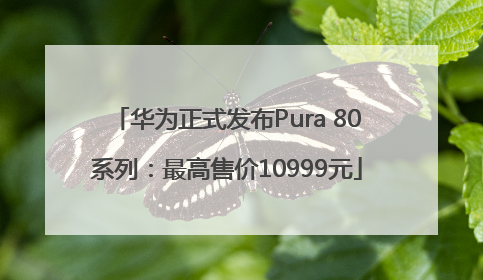 华为正式发布Pura 80系列：最高售价10999元