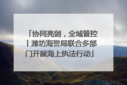 协同亮剑，全域管控丨潍坊海警局联合多部门开展海上执法行动