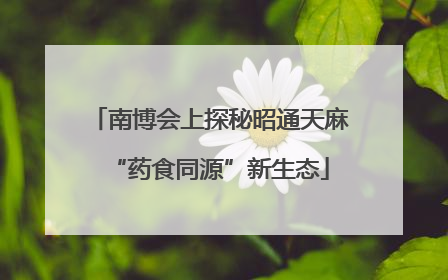 南博会上探秘昭通天麻“药食同源”新生态