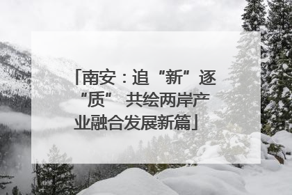 南安：追“新”逐“质” 共绘两岸产业融合发展新篇