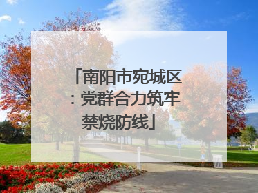 南阳市宛城区：党群合力筑牢禁烧防线