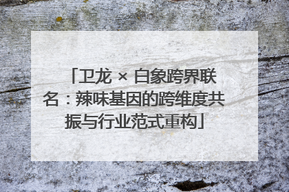 卫龙 × 白象跨界联名：辣味基因的跨维度共振与行业范式重构