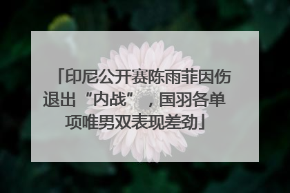 印尼公开赛陈雨菲因伤退出“内战”，国羽各单项唯男双表现差劲