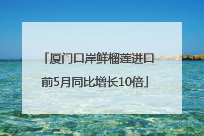 厦门口岸鲜榴莲进口 前5月同比增长10倍