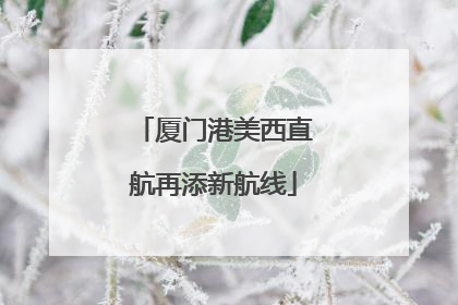 厦门港美西直航再添新航线