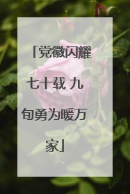 党徽闪耀七十载 九旬勇为暖万家