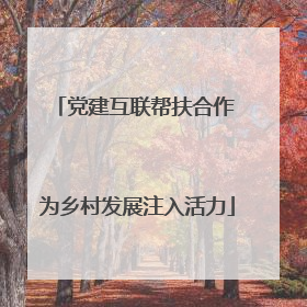 党建互联帮扶合作 为乡村发展注入活力