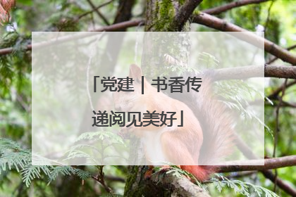 党建｜书香传递阅见美好