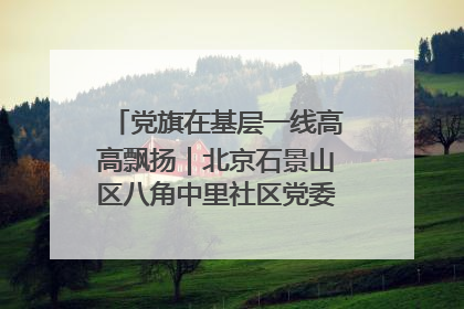 党旗在基层一线高高飘扬｜北京石景山区八角中里社区党委：用脚步丈量民生