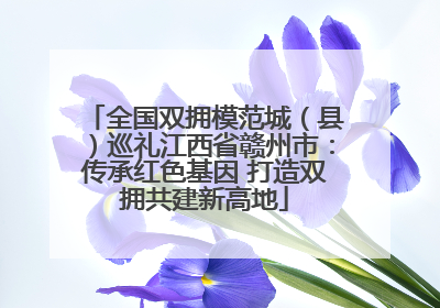全国双拥模范城（县）巡礼江西省赣州市：传承红色基因 打造双拥共建新高地