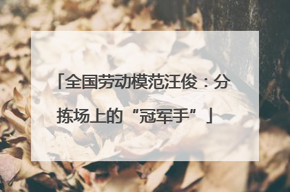 全国劳动模范汪俊：分拣场上的“冠军手”
