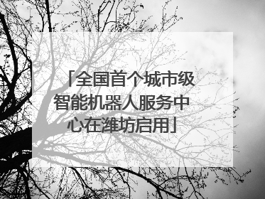 全国首个城市级智能机器人服务中心在潍坊启用