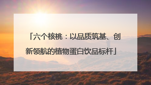 六个核桃：以品质筑基、创新领航的植物蛋白饮品标杆