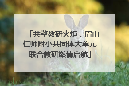 共擎教研火炬，眉山仁师附小共同体大单元联合教研燃情启航