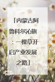 内蒙古阿鲁科尔沁旗:一棵草开启产业发展之路