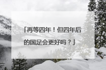 再等四年！但四年后的国足会更好吗？