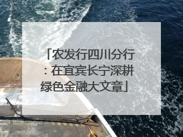 农发行四川分行：在宜宾长宁深耕绿色金融大文章