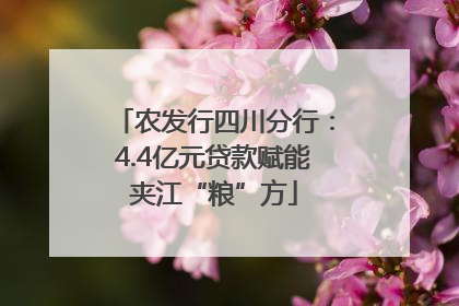 农发行四川分行：4.4亿元贷款赋能夹江“粮”方