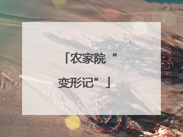 农家院“变形记”