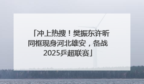 冲上热搜！樊振东许昕同框现身河北雄安，备战2025乒超联赛