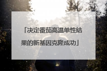 决定番茄高温单性结果的新基因克隆成功