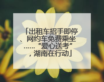 出租车招手即停、网约车免费乘坐……“爱心送考”，湖南在行动