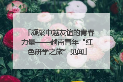 凝聚中越友谊的青春力量——越南青年“红色研学之旅”见闻