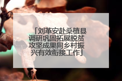 刘革安赴桑植县调研巩固拓展脱贫攻坚成果同乡村振兴有效衔接工作