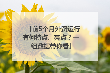 前5个月外贸运行有何特点、亮点？一组数据带你看