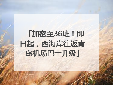 加密至36班！即日起，西海岸往返青岛机场巴士升级