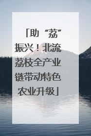 助“荔”振兴！北流荔枝全产业链带动特色农业升级