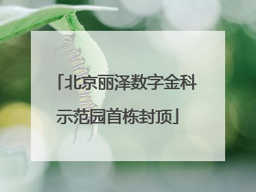 北京丽泽数字金科示范园首栋封顶