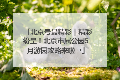 北京号最精彩｜精彩纷呈！北京市属公园5月游园攻略来啦→